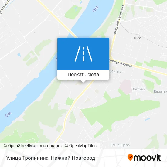 Карта Улица Тропинина