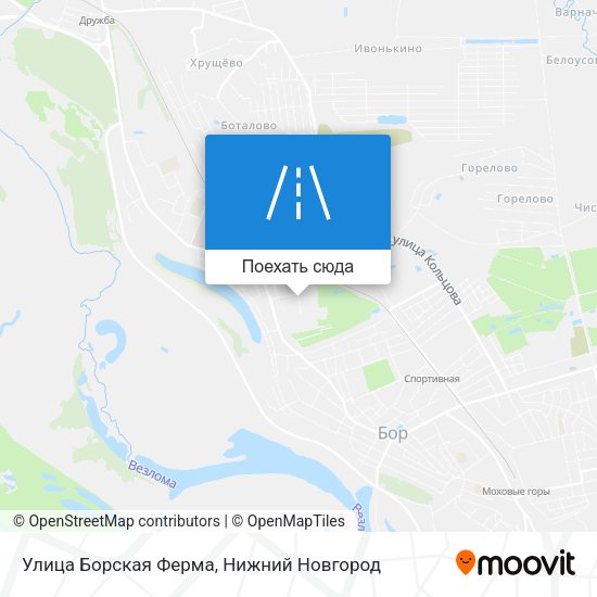 Карта Улица Борская Ферма