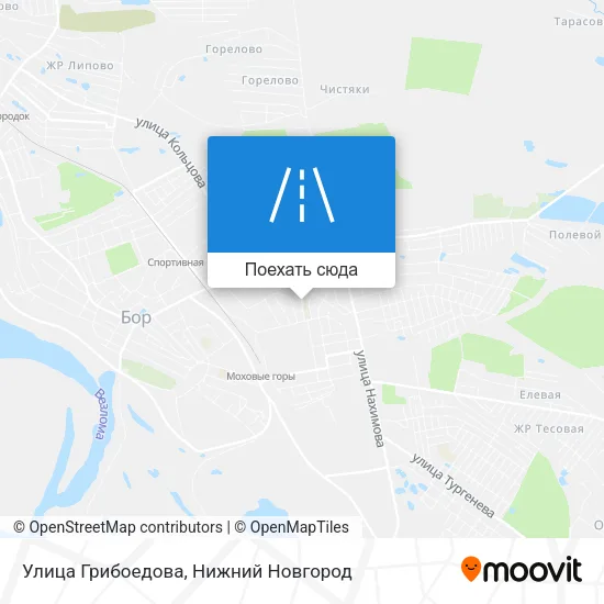 Карта Улица Грибоедова