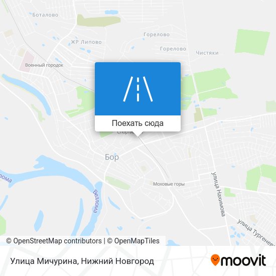 Карта Улица Мичурина