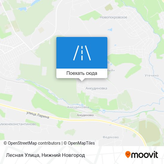 Карта Лесная Улица