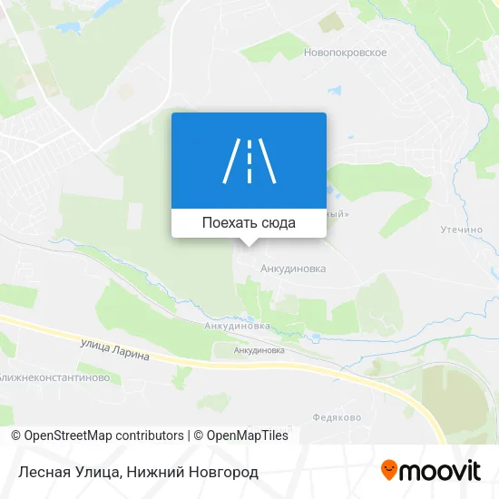 Карта Лесная Улица
