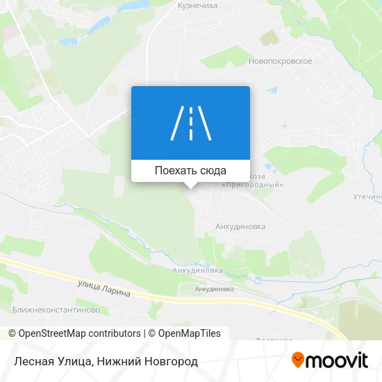 Карта Лесная Улица