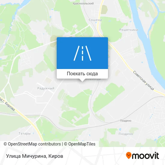 Карта Улица Мичурина