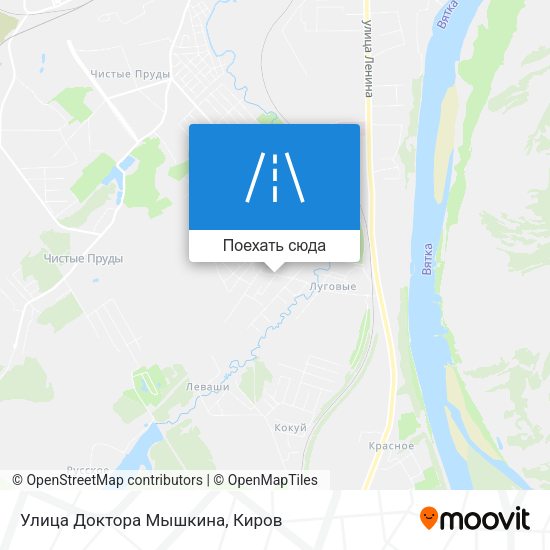 Карта Улица Доктора Мышкина