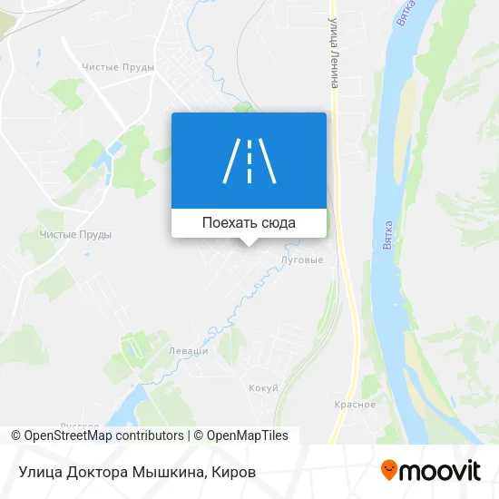 Карта Улица Доктора Мышкина