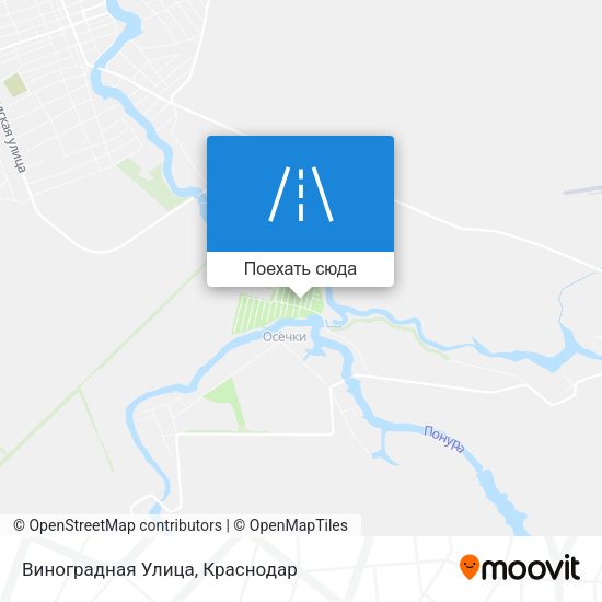 Карта Виноградная Улица