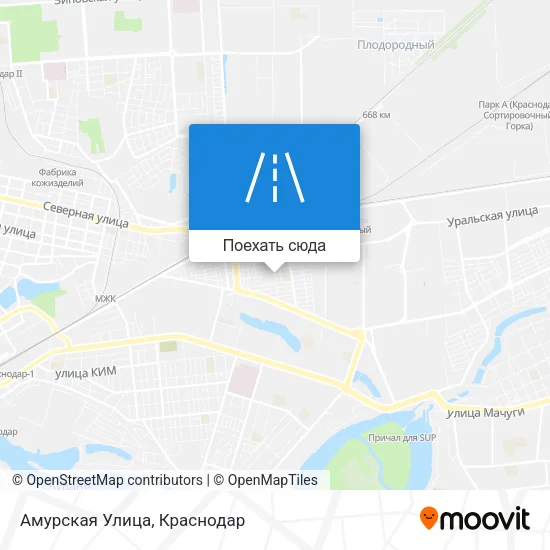 Карта Амурская Улица