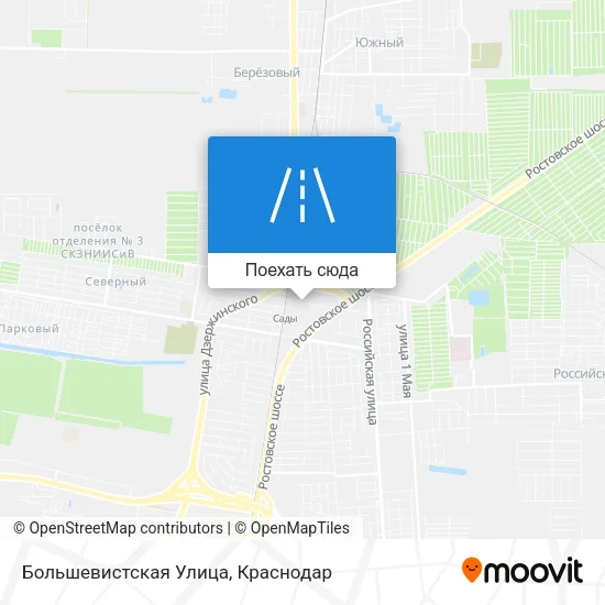 Карта Большевистская Улица