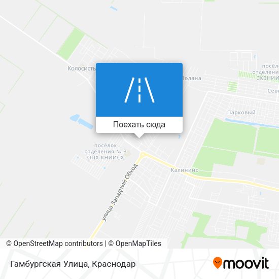 Карта Гамбургская Улица