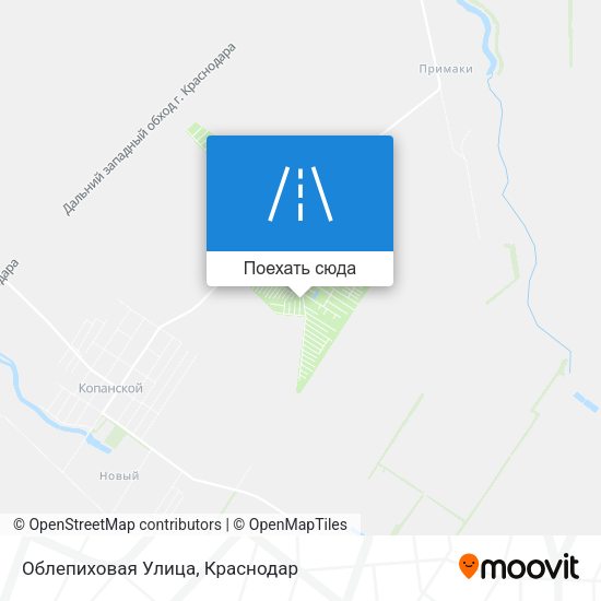 Карта Облепиховая Улица