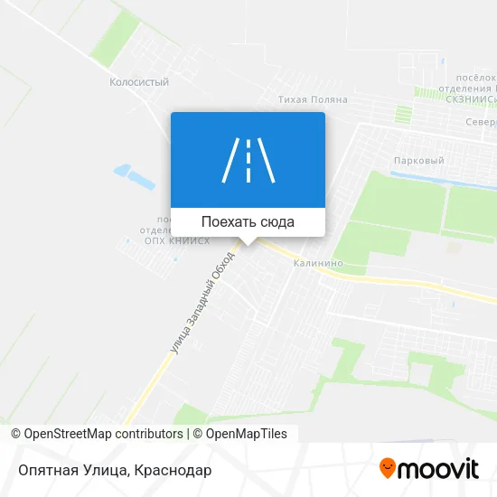 Карта Опятная Улица