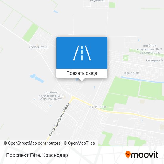 Карта Проспект Гёте