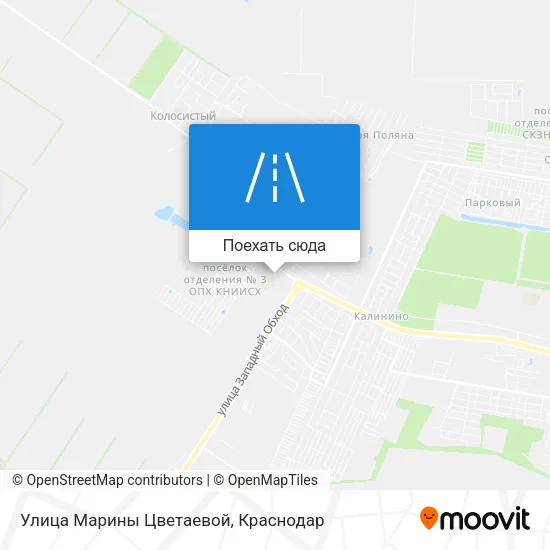 Карта Улица Марины Цветаевой