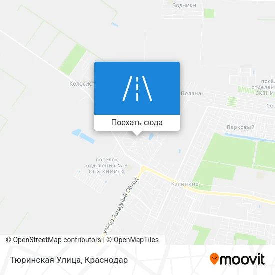 Карта Тюринская Улица
