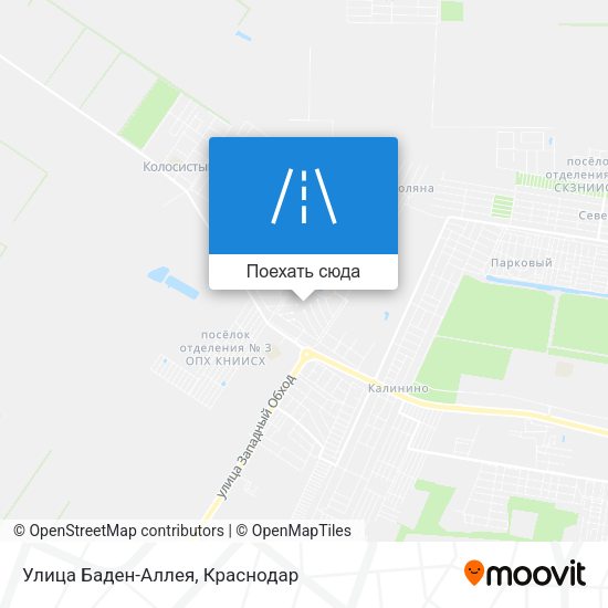 Карта Улица Баден-Аллея
