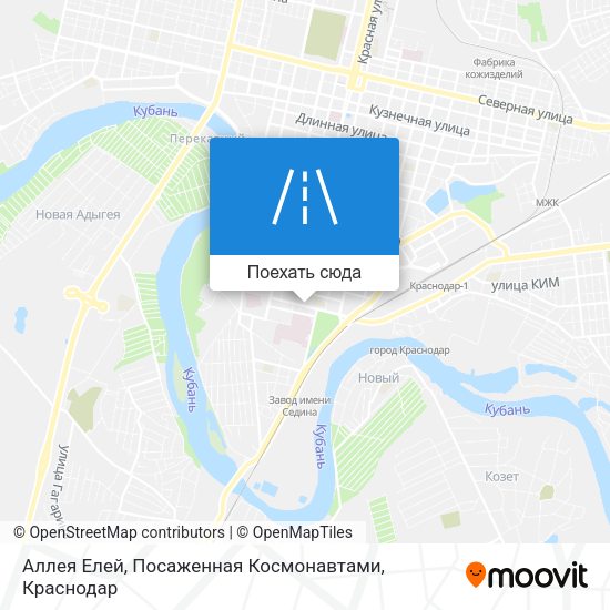 Карта Аллея Елей, Посаженная Космонавтами
