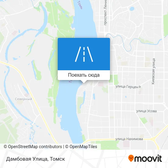 Карта Дамбовая Улица