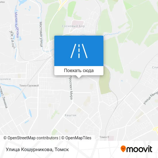 Карта Улица Кошурникова