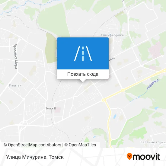 Карта Улица Мичурина