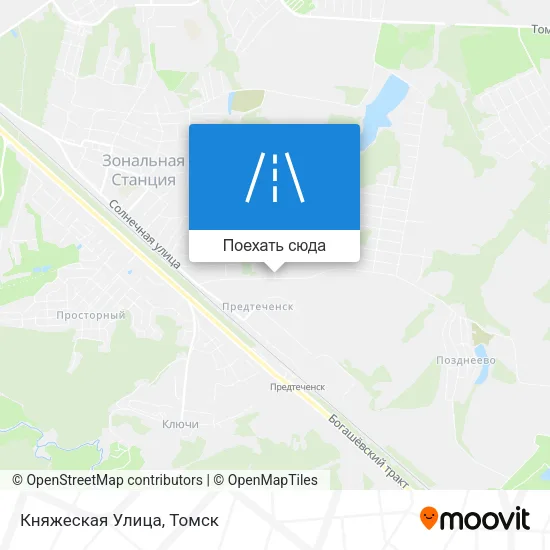 Карта Княжеская Улица