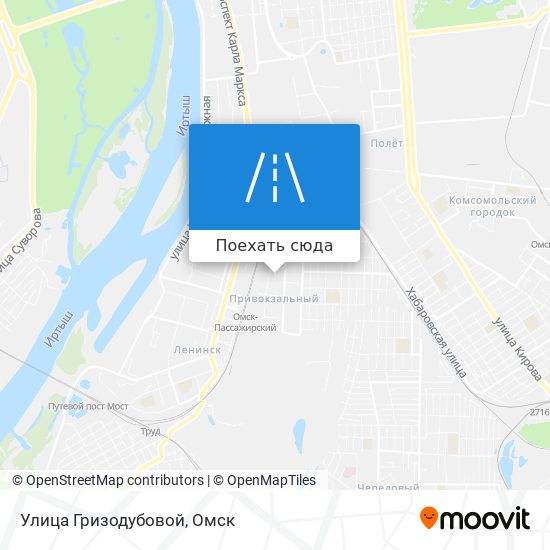 Карта Улица Гризодубовой