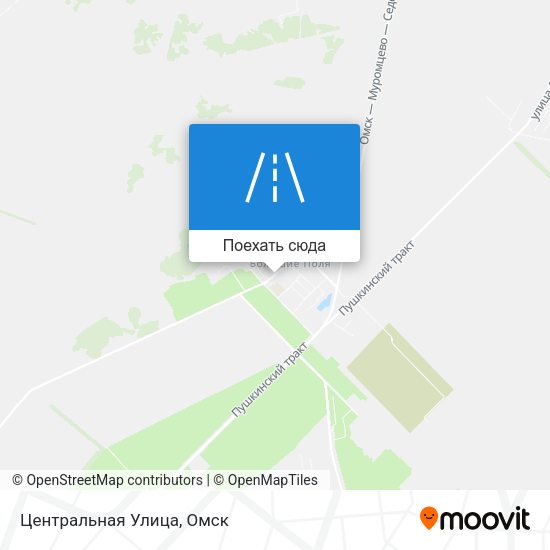 Карта Центральная Улица