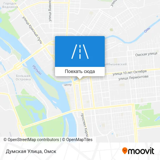 Карта Думская Улица
