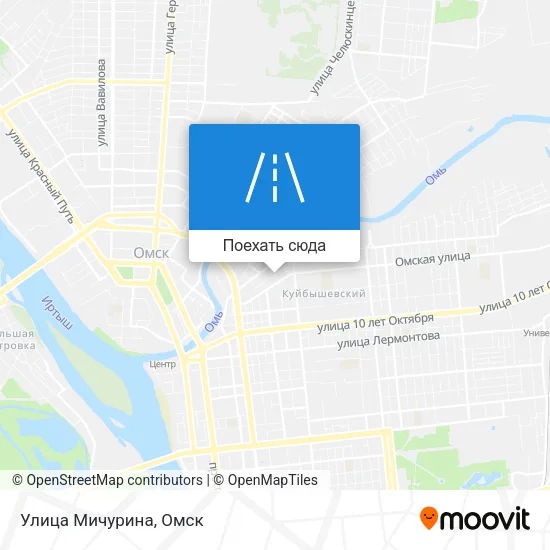 Карта Улица Мичурина