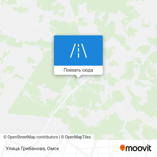Карта Улица Грибанова