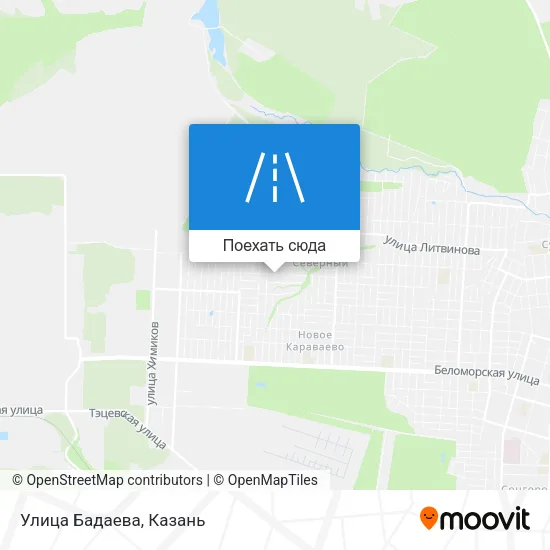 Карта Улица Бадаева