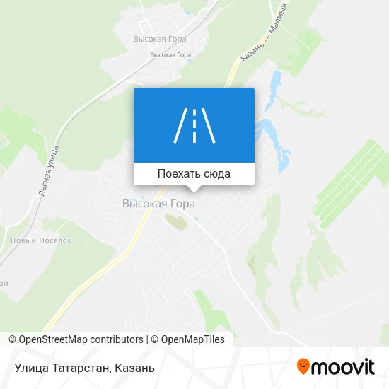 Карта Улица Татарстан