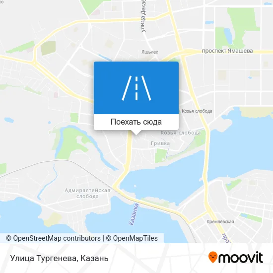 Карта Улица Тургенева