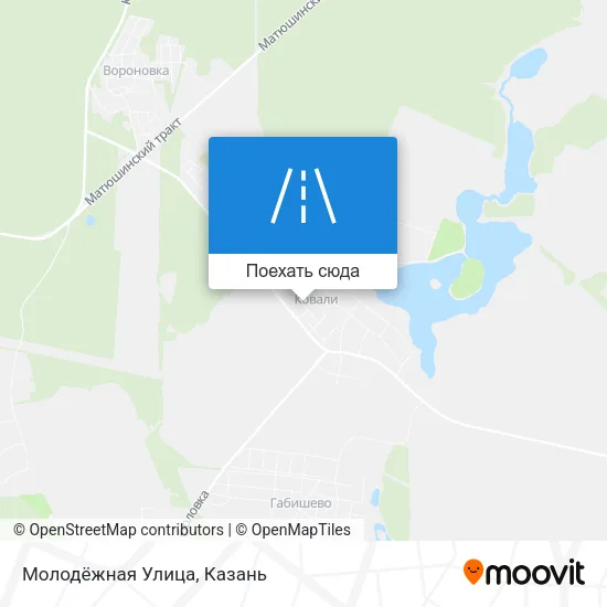 Карта Молодёжная Улица