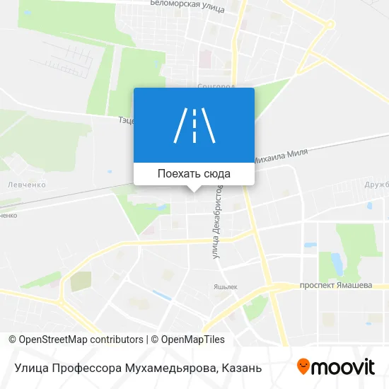 Карта Улица Профессора Мухамедьярова