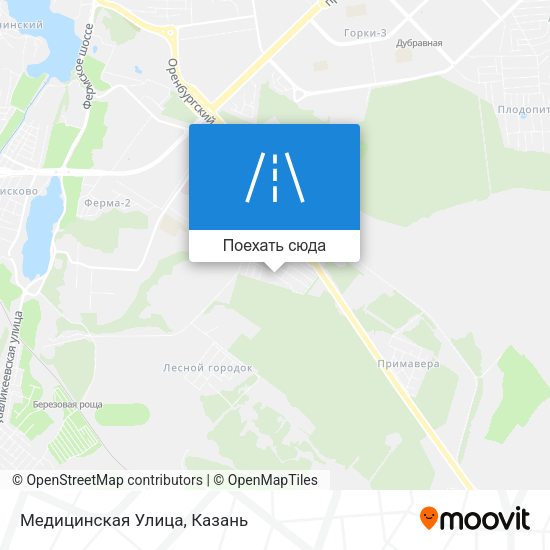 Карта Медицинская Улица