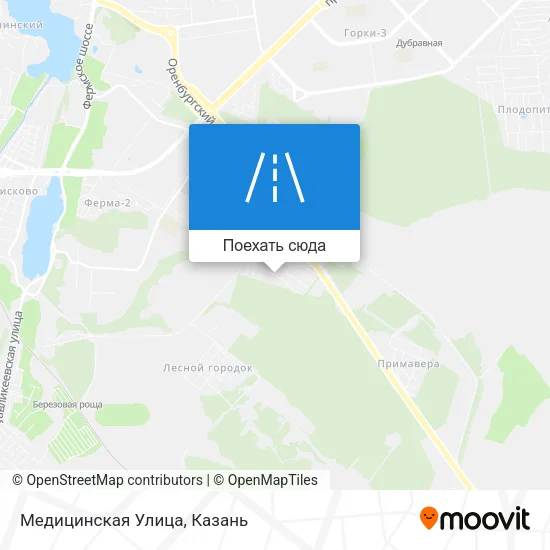 Карта Медицинская Улица