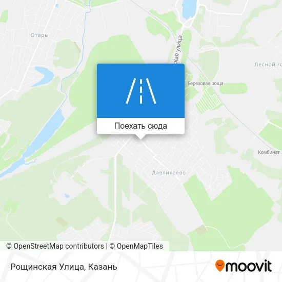 Карта Рощинская Улица