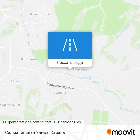 Карта Салмачинская Улица