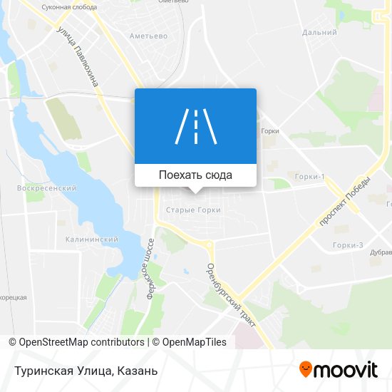Карта Туринская Улица