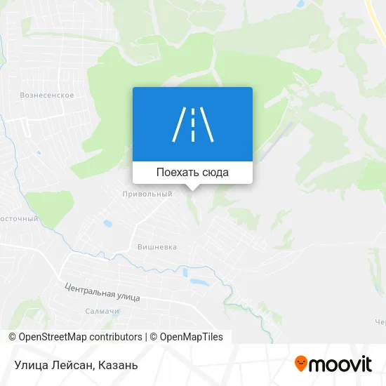 Карта Улица Лейсан