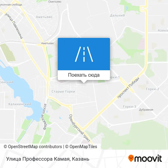 Карта Улица Профессора Камая