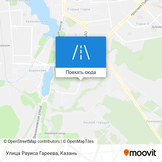 Карта Улица Рауиса Гареева
