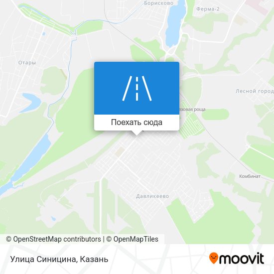 Карта Улица Синицина