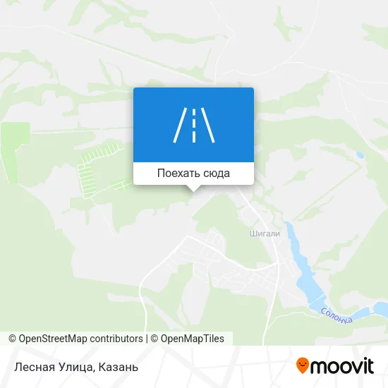Карта Лесная Улица