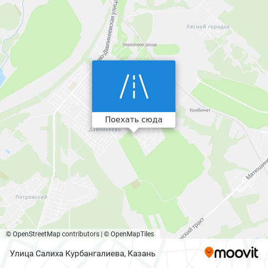 Карта Улица Салиха Курбангалиева