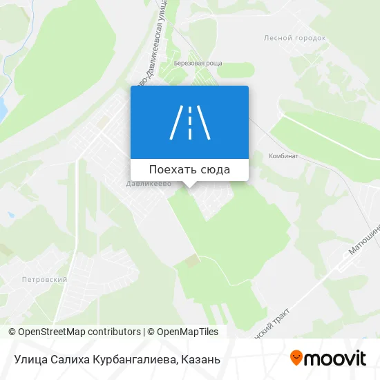 Карта Улица Салиха Курбангалиева