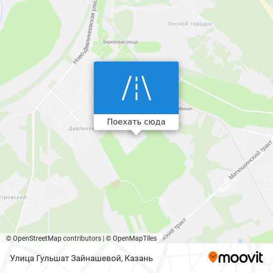 Карта Улица Гульшат Зайнашевой