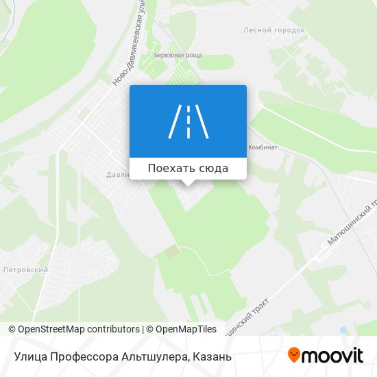 Карта Улица Профессора Альтшулера