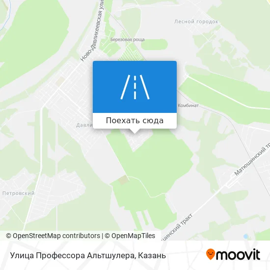 Карта Улица Профессора Альтшулера